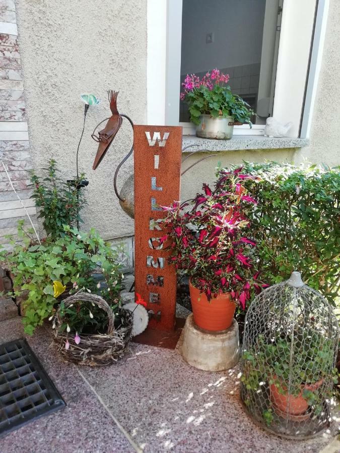 Ferienwohnung Zur Alten Eiche Frohburg Экстерьер фото